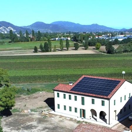 Ecofriendly House Colli Euganei Villa San Pietro Viminario Esterno foto